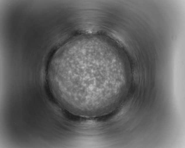 X0000088390594200706051119