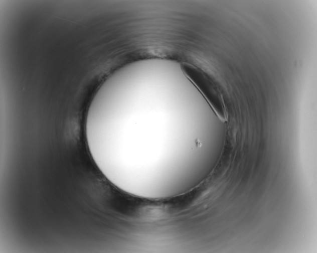 X0000088390595200706051119