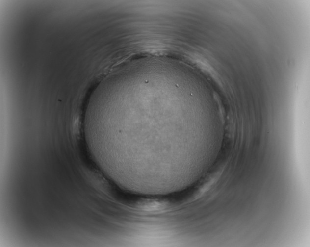 X0000088390597200706051119