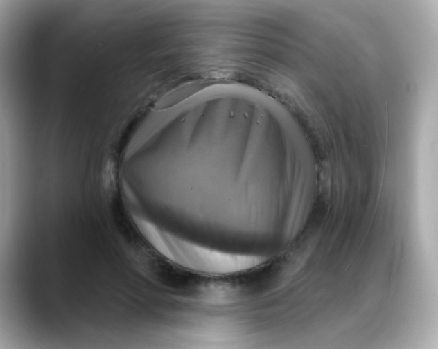 X0000088390598200706051119