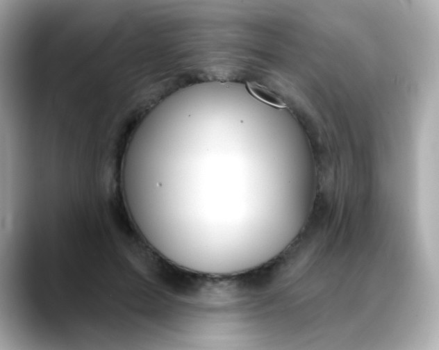 X0000088390599200706051119