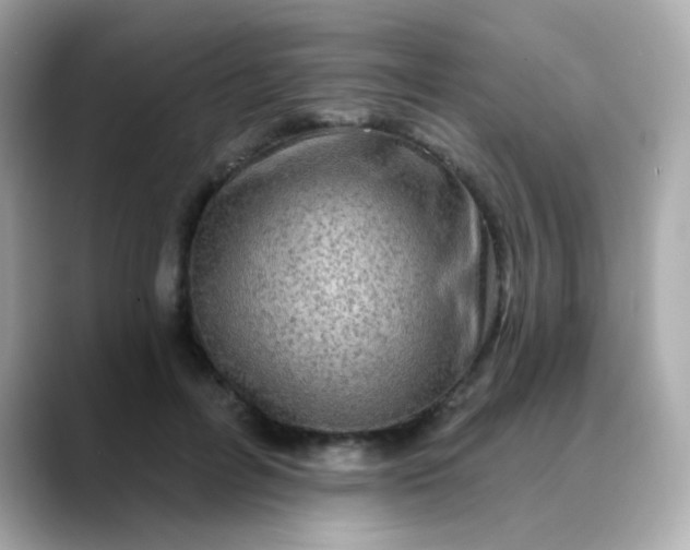 X0000088390600200706051119