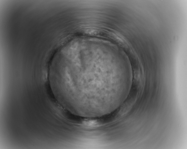 X0000088390602200706051119