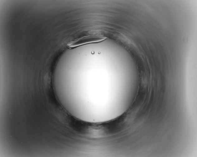 X0000088390603200706051119