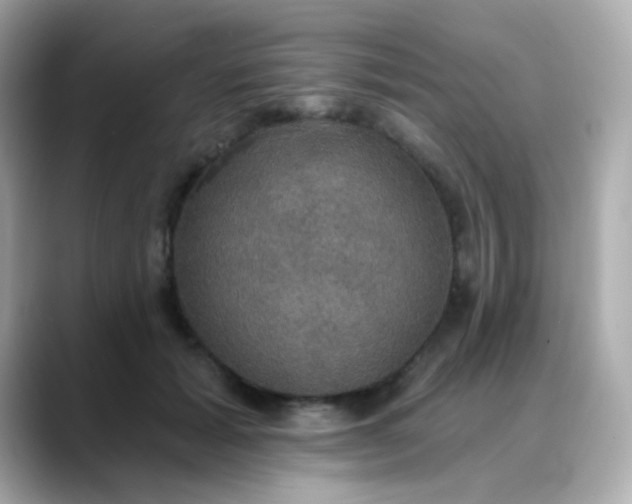 X0000088390605200706051119