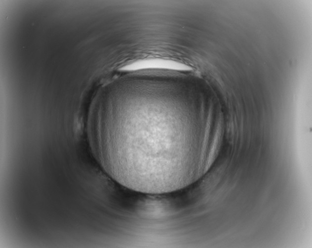 X0000088390608200706051119