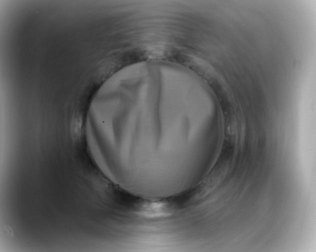 X0000088390610200706051119