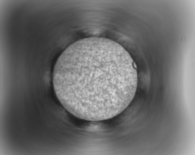 X0000088390612200706051119