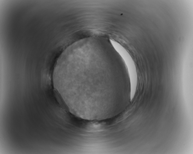 X0000088390613200706051119