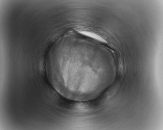 X0000088390616200706051119