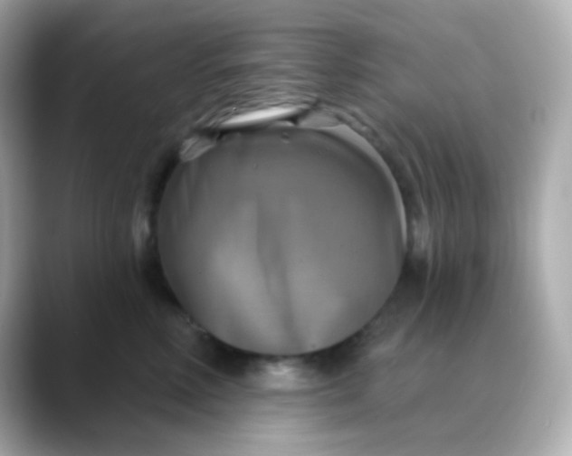 X0000088390618200706051119