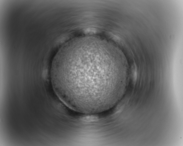 X0000088390619200706051118