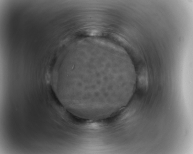 X0000088390620200706051118