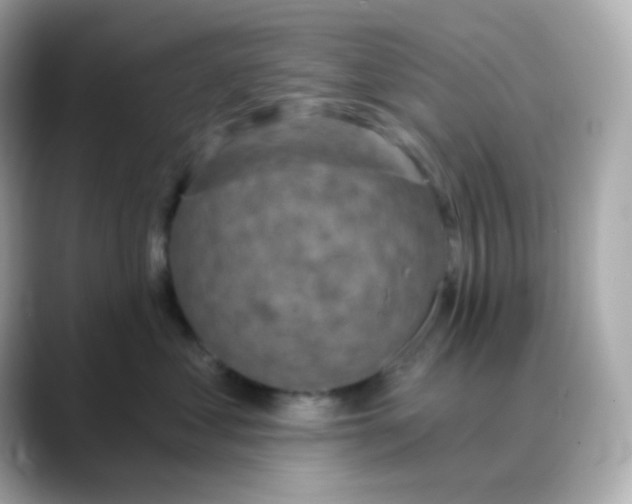 X0000088390621200706051118