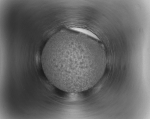 X0000088390623200706051118