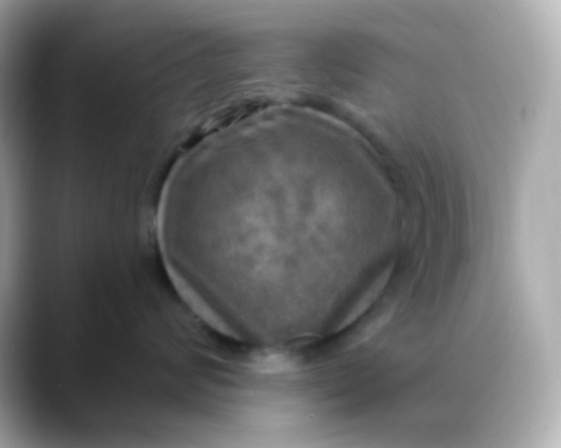 X0000088390624200706051118