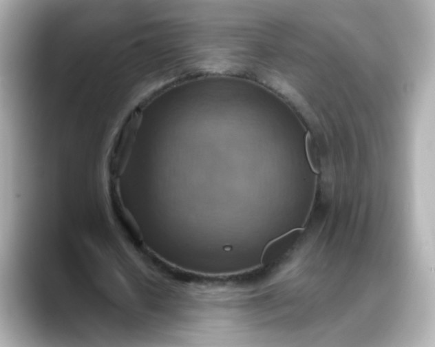 X0000088390626200706051118