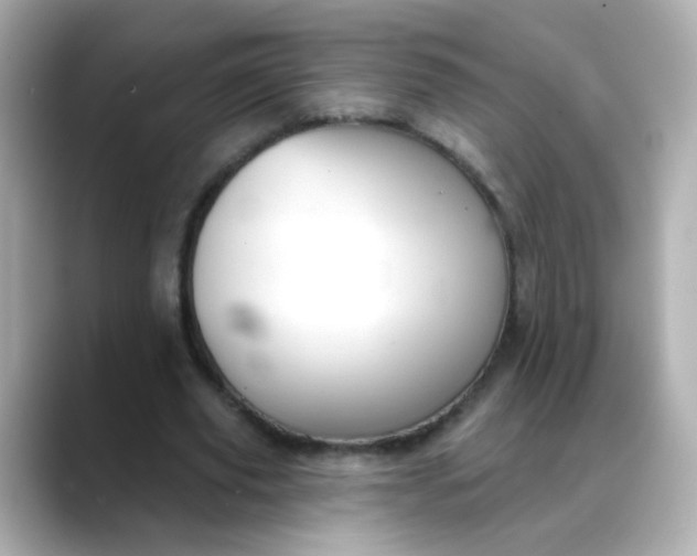 X0000088390629200706051118