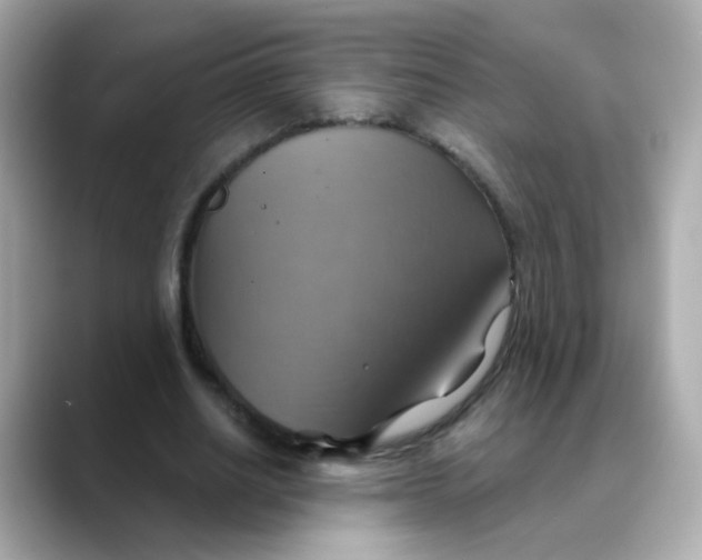 X0000088390630200706051118