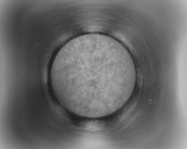 X0000088390631200706051118