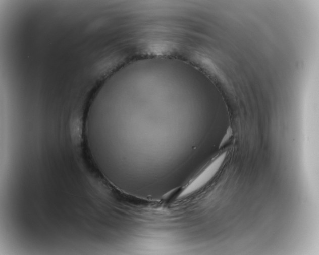 X0000088390640200706051118