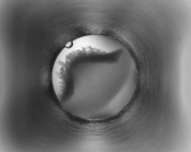 X0000088390641200706051118