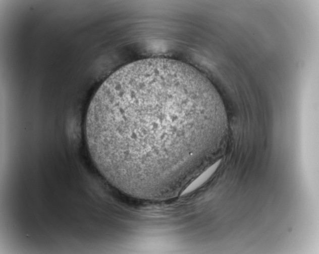 X0000088390642200706051118