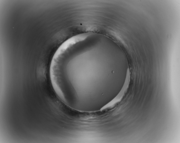 X0000088390643200706051118