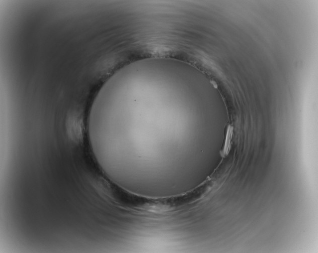 X0000088390644200706051118