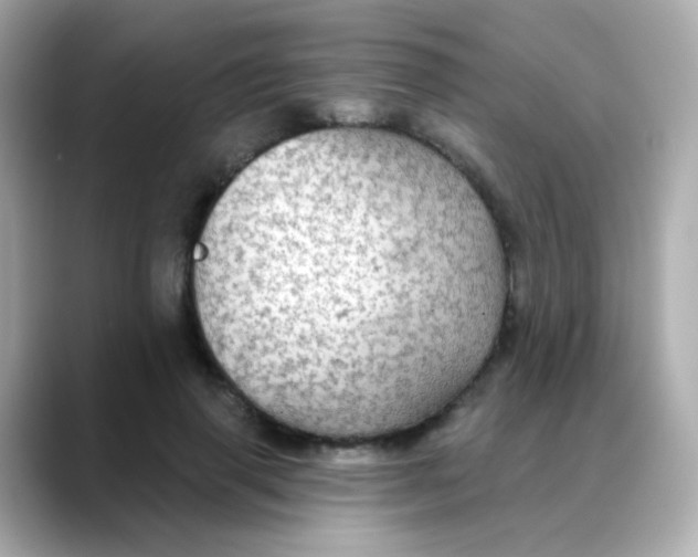 X0000088390645200706051118