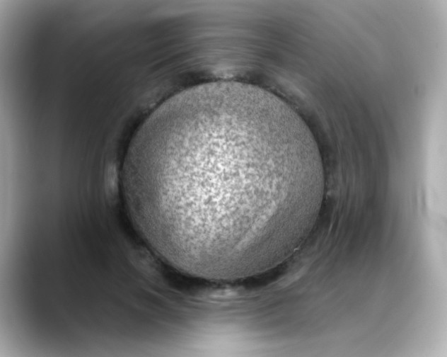 X0000088390646200706051118