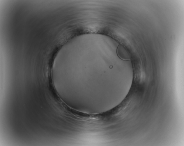 X0000088390647200706051118