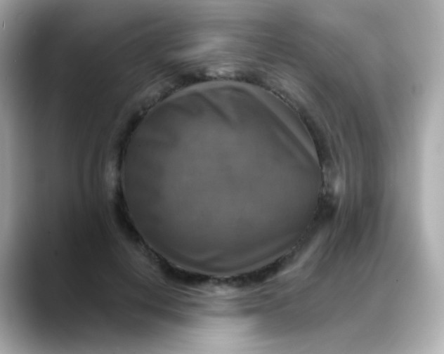 X0000088390648200706051118