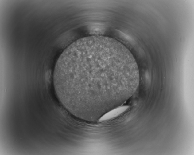 X0000088390649200706051118