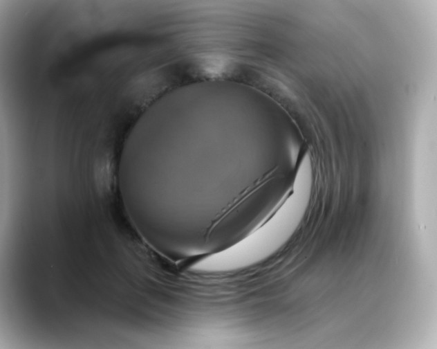 X0000088390651200706051118