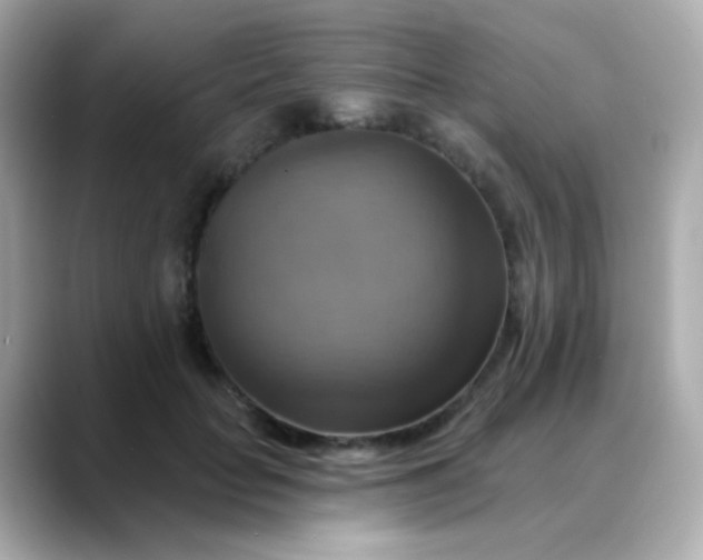 X0000088390653200706051118