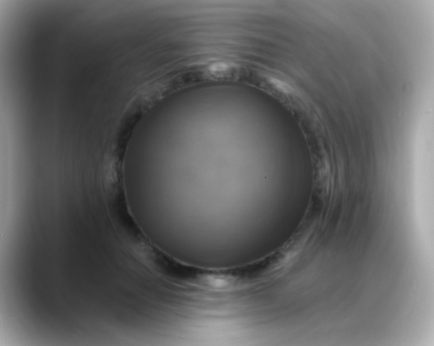 X0000088390654200706051118