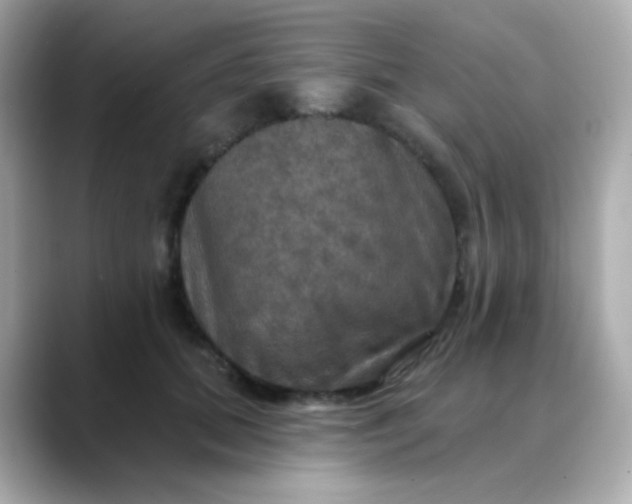 X0000088390655200706051118