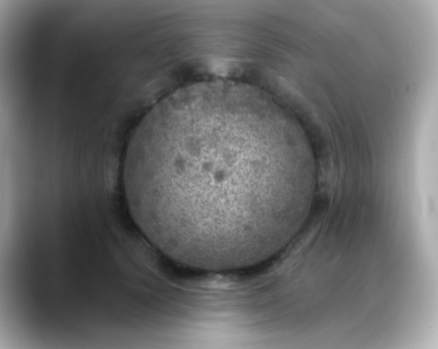 X0000088390656200706051118