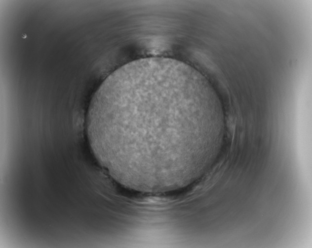 X0000088390657200706051118