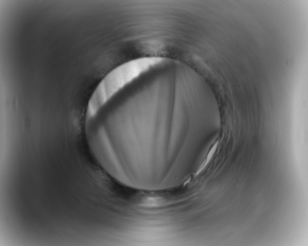 X0000088390658200706051118