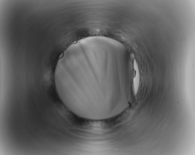 X0000088390659200706051118