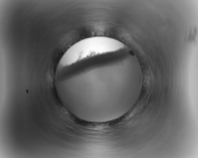 X0000088390661200706051118