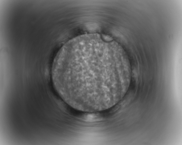 X0000088390662200706051118