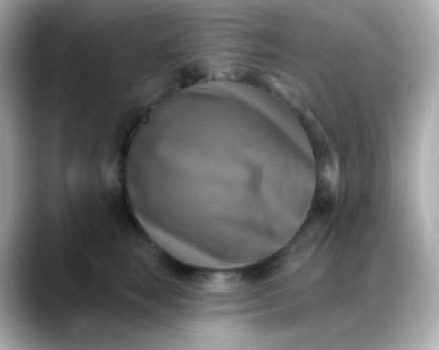 X0000088390663200706051118