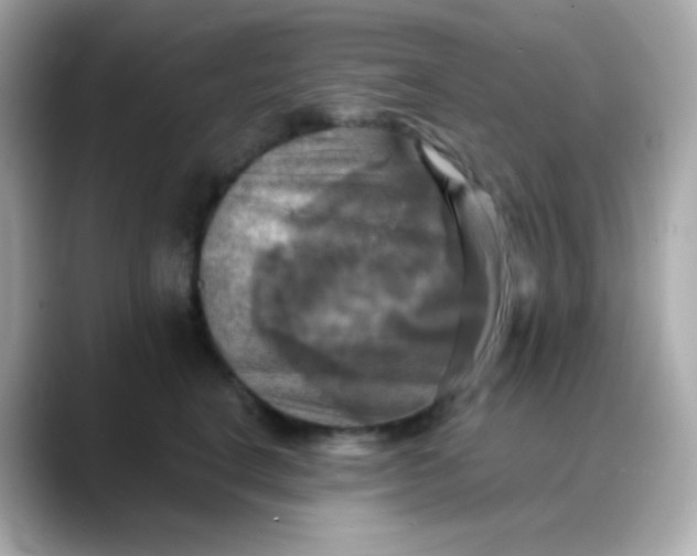 X0000088390664200706051118