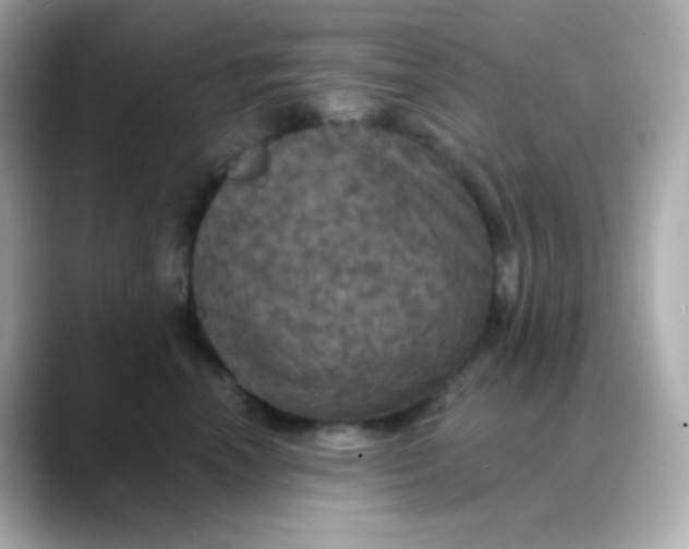 X0000088390666200706051118