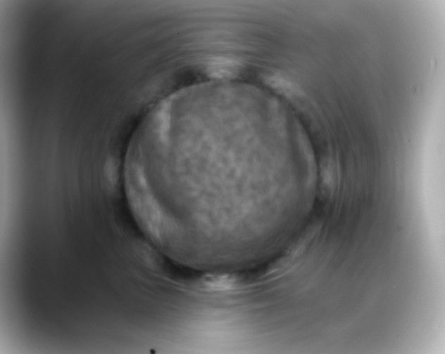 X0000088390667200706051118