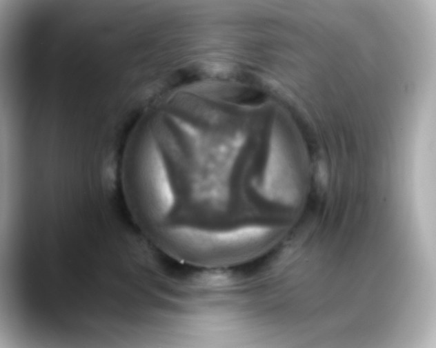 X0000088390668200706051118