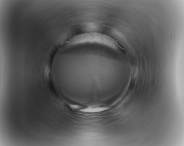 X0000088390669200706051118